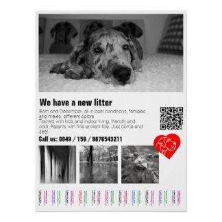 Pôster Desmontável Personalizado de Filhote de Dog