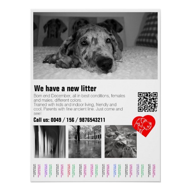 Pôster Desmontável Personalizado de Filhote de Dog (Frente)