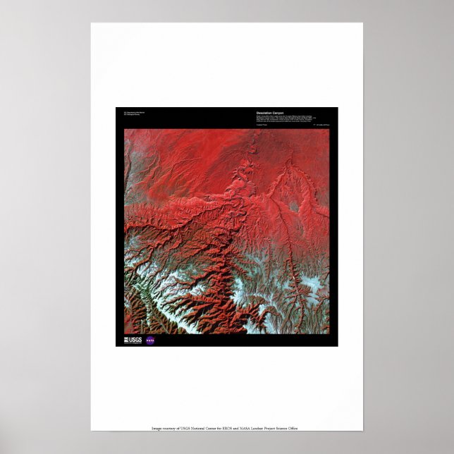 Pôster Desolação Canyon Utah (Frente)
