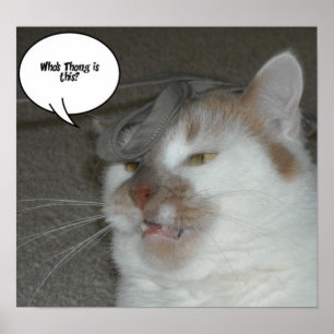 Poster Despedida de Solteiro De Quem é esta Tanga