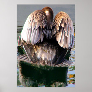 Pôster Despedida_Poster