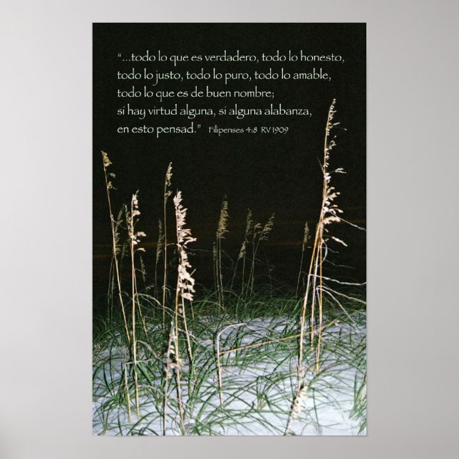 Pôster Despesas 4-8b (Frente)