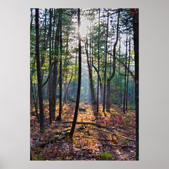 Pôster Destaque Em Um Traço (Frente)