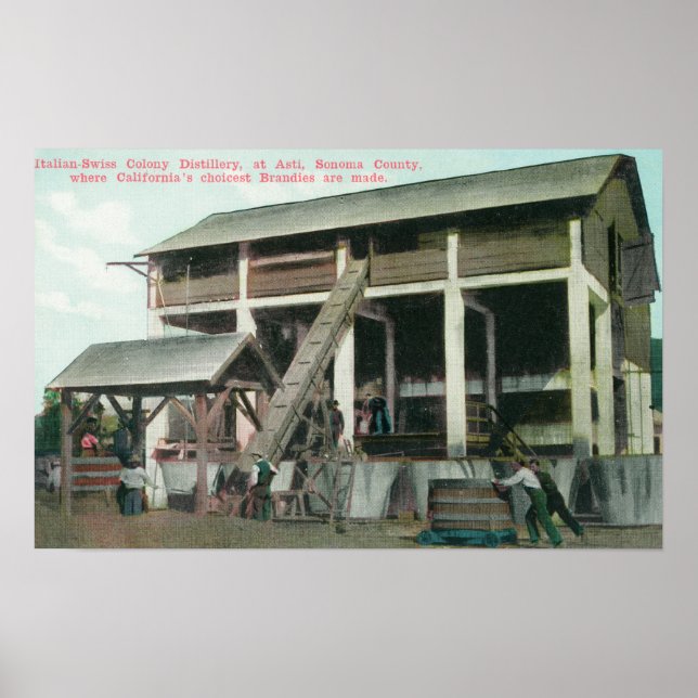 Pôster Destilaria de conhaque de colônia italiana-suíça (Frente)