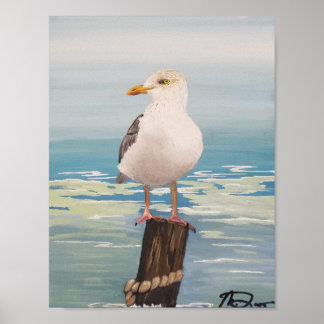 Poster Destin Seagull