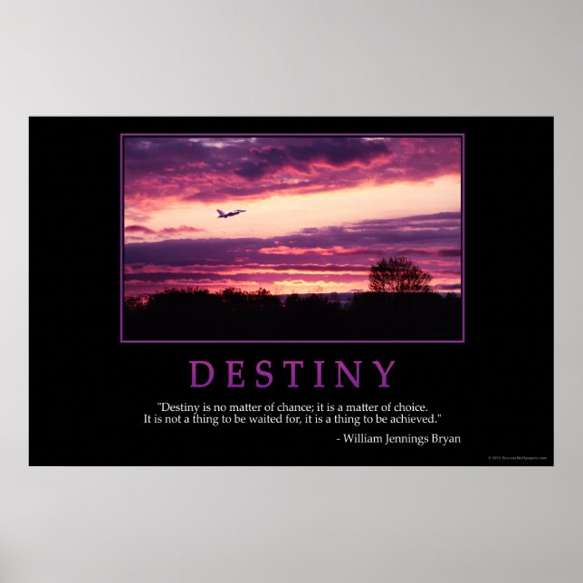 Poster Destiny (Frente)