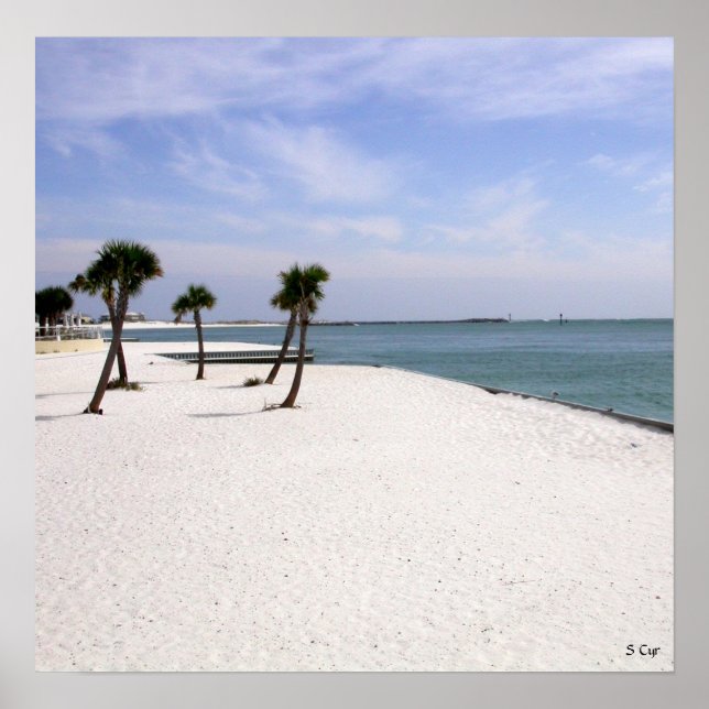 Poster Destrua Beauty, S Cyr (Frente)