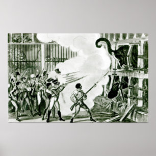 Pôster Destruição do Elefante Furioso no Exeter