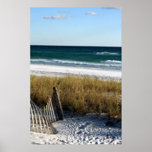 Pôster Destruin Dreaming Poster, S Cyr