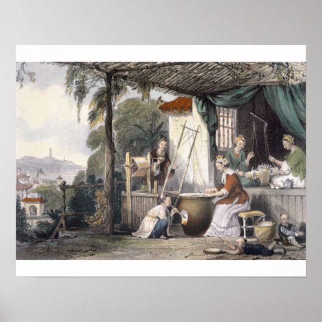 Poster Destruir os crisálidos e cozinhar os casulos, (Frente)