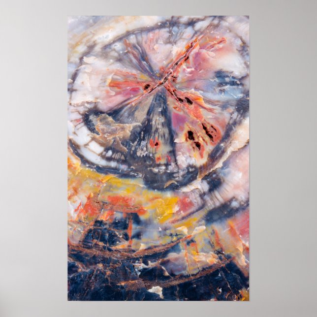 Poster Detalhe da madeira Petrificada, Arizona (Frente)