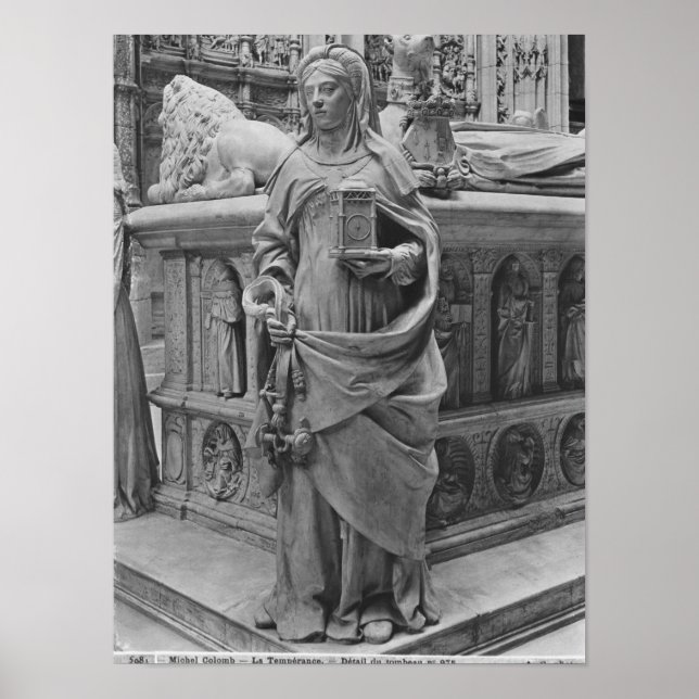 Pôster Detalhe da temperatura (Frente)