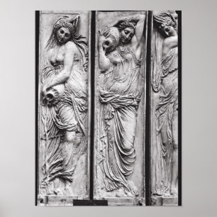 Pôster Detalhe de alivios