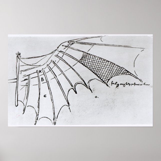 Poster Detalhe de uma asa mecânica (Frente)