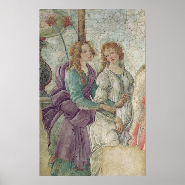 Pôster Detalhe de Vênus e Graves (Frente)