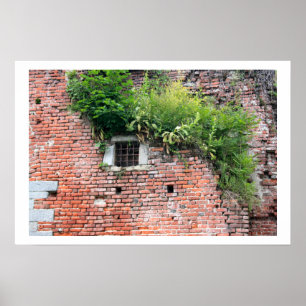 Poster Detalhe medieval da janela