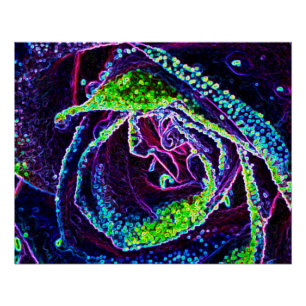 Pôster Detalhes do Rosa verde e azul preto gráfico