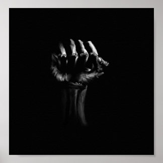 Pôster Determinação