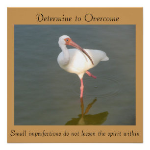 Pôster Determine superar - 20" x 20" poster