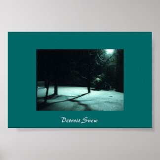 Poster Detroit Snow
