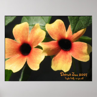 Pôster Detroit Zoo