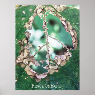 Pôster deu paz