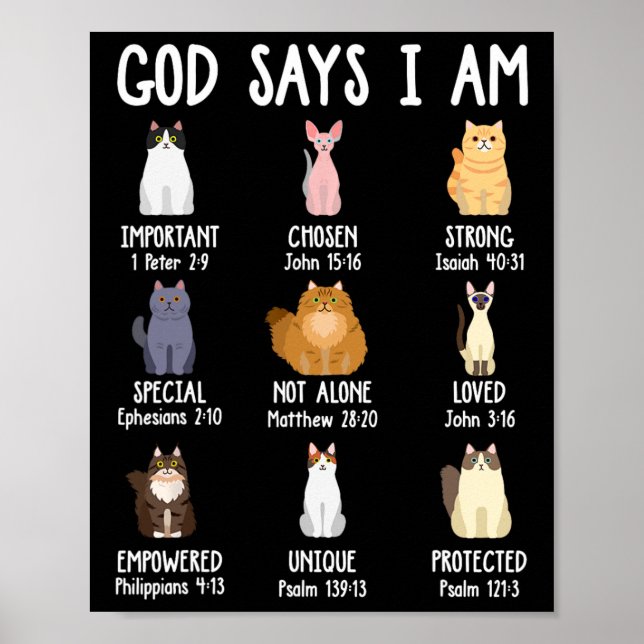 Poster Deus Bonito Diz Que Sou Gato, Bíblia Cristã de Fé (Frente)