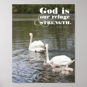 Poster Deus é a nossa fotografia do Cisne de Refúgio