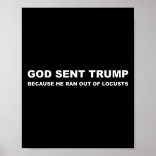 Poster Deus Enviou Trump Porque Ele Saiu De Gafanhotos An
