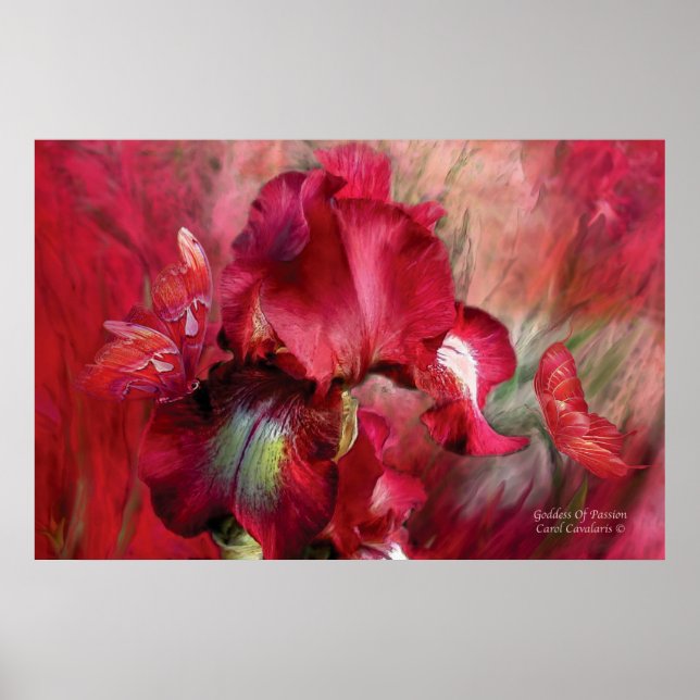 Poster Deusa Da Paixão Poster/Impressão (Frente)