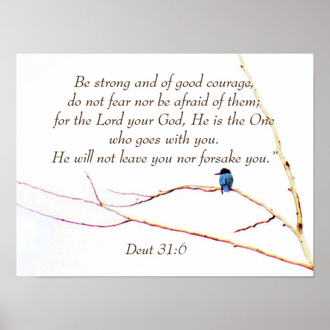 Poster Deut 31:6 Você não está sozinho Bíblia Kingfisher  (Frente)
