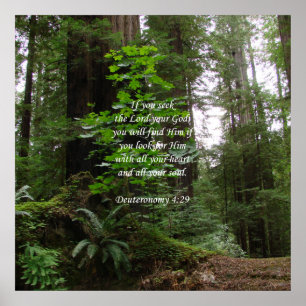 Pôster Deuteronomia 4:29 ~ Procure o Senhor
