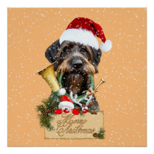 Pôster Deutsch Drahthaar, Feliz Natal! Botão Magnet