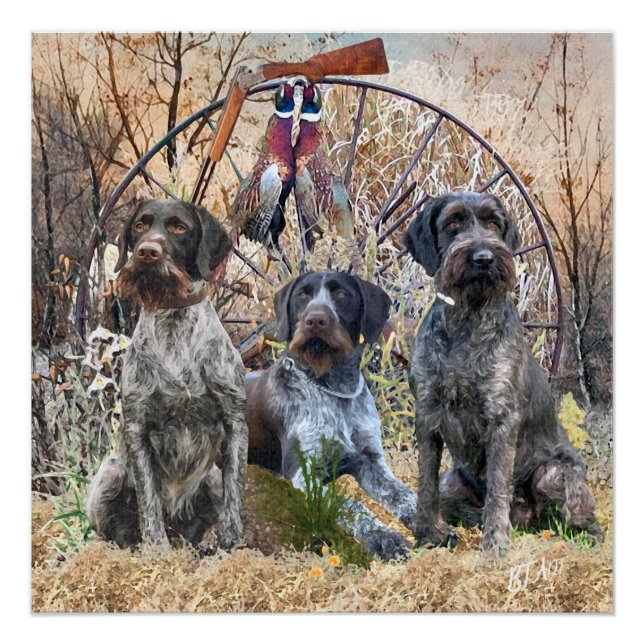 Pôster Deutsch Drahthaar Poster (Frente)