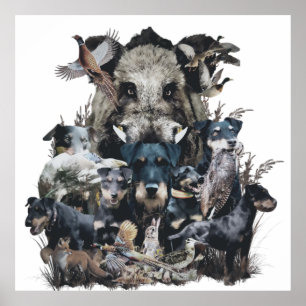 Poster Deutscher Jagdterrier Tapeçaria Tela