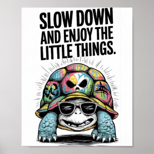 Poster Devagar, Turtle