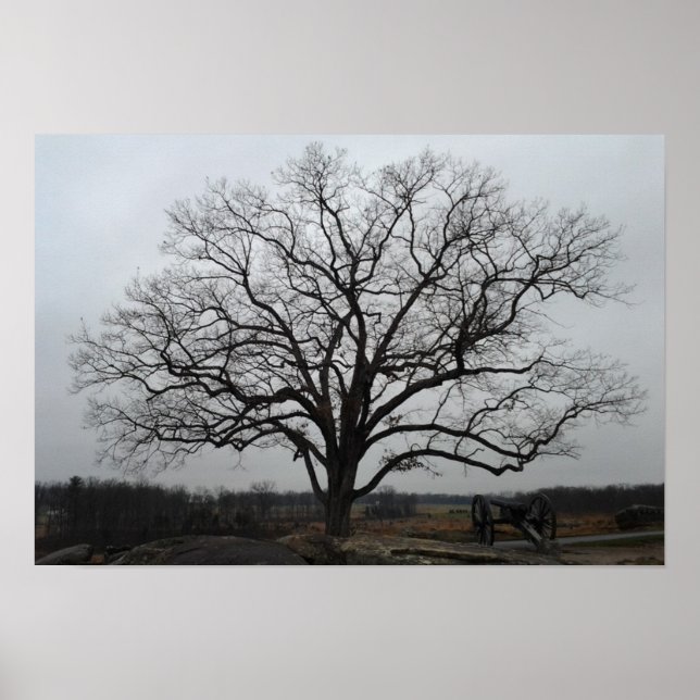 Poster Devils Den Tree (Frente)