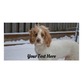 Pôster Dexter na neve - Poster brilhante