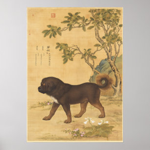 Poster Dez Bons Hounds - Cangni(Cão-De-Montanha Tibetano)