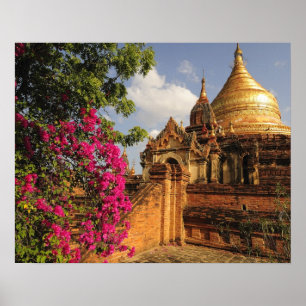 Poster Dhamma Yazaka Pagoda em Bagan (Pagan), Mianmar