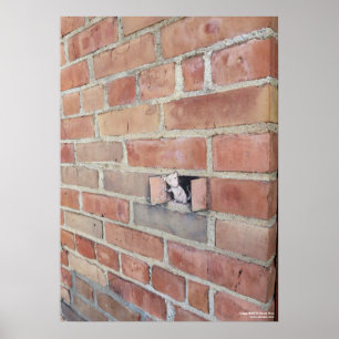 Poster Dia da aeração