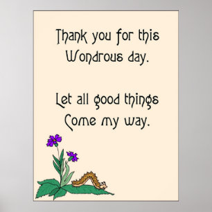 Pôster Dia da Maravilha