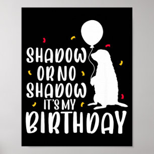Poster Dia da Marmota Sombra ou Sem Sombra É Meu Aniversá
