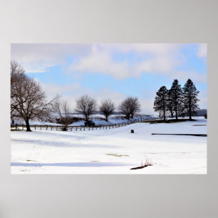 Poster Dia da Neve