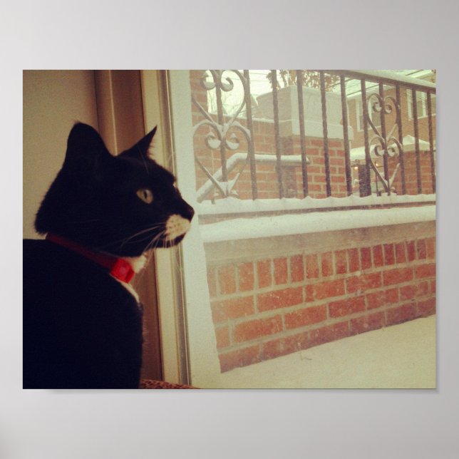 Pôster Dia da Neve da Lucy (Frente)