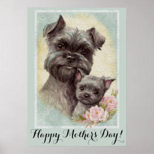 Poster Dia de as mães Cachorro Affenpinscher Mãe