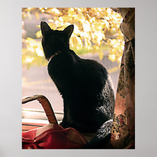 Poster Dia de outubro