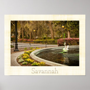 Pôster Dia de São Patrício - fonte de Forsyth, savana,