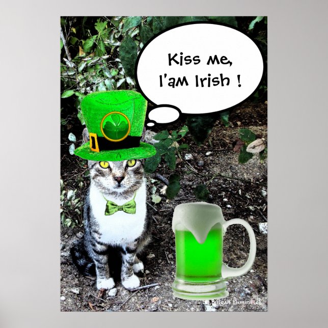 POSTER DIA DE SÃO PATRÍCIO  GATO COM CERVEJA IRLANDESA VE (Frente)