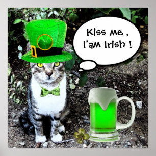 POSTER DIA DE SÃO PATRÍCIO GATO COM CERVEJA IRLANDESA VER